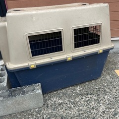 大型犬　ゲージ　小屋