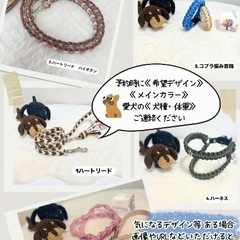 【🚃西横浜】【日本パラコード協会認定講師🧶】【ペットグッズワークショップ】の画像