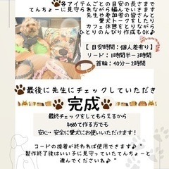 【🚃西横浜】【日本パラコード協会認定講師🧶】【ペットグッズワークショップ】の画像