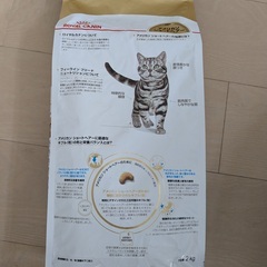 猫用ドライフード　キャットフード　ロイヤルカナンROYAL CANIN　アメリカンショートヘアー　成猫用　2kgの画像