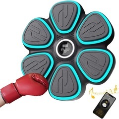 限定1名❣️早い者勝ち！新品未使用品✨️ 音楽 ボクシングマシン...