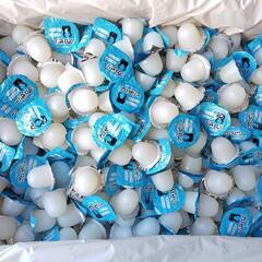 ＫＢファーム製　プロゼリー16ｇ　500個！の画像