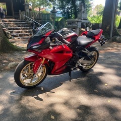 cbr250rr mc51 2021年式の画像