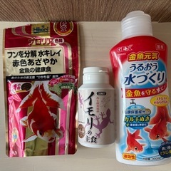 水槽金魚一式の画像