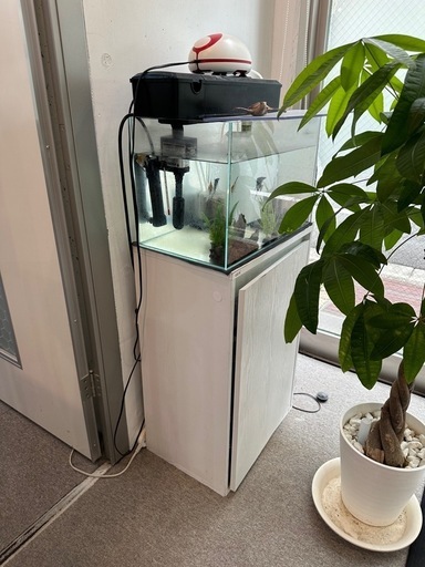 魚3匹　水槽の一式セットを出品いたします。