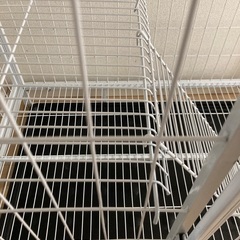 Areden 猫用大型ペットケージ（155×60×86cm）の画像
