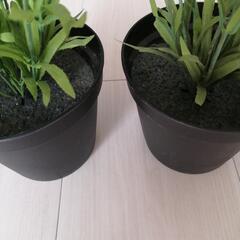 IKEAフェイク，ラベンダー鉢2個の画像