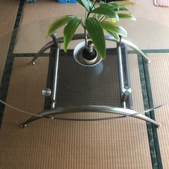 ガラステーブル