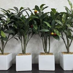 どれでも1つ¥500 人口観葉植物 フェイクグリーン 造花 光触...