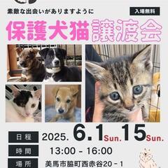 保護犬猫譲渡会開催6月1日(日)15日(日)