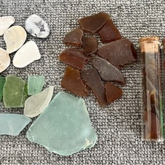 シーグラス　貝殻　セット