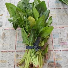 お話中【訳あり】ほうれん草