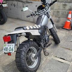 YAMAHA　tw200の画像