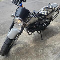 YAMAHA　tw200の画像