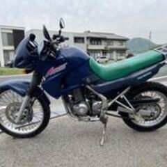 カワサキ KLE250アネーロ LE250A 実動 書類付 吹け上がり良好 タイヤバリ山 デュアルパーパス 林道 ラリー ロングツーリングにもの画像