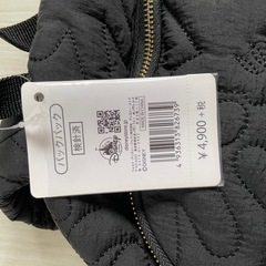 ディズニー　リュック　新品の画像
