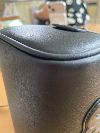 セリーヌミニボストン