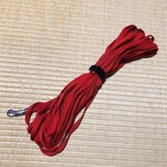 ペティオ (Petio) 犬用リード ロングリード 