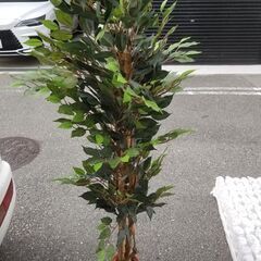 観葉植物(造花）