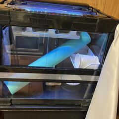 爬虫類クラブオリジナル ハチクラARケージ45㎝ 付属セット付き