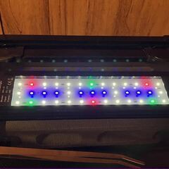 爬虫類クラブオリジナル ハチクラARケージ45㎝ 付属セット付きの画像
