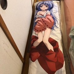 クッション  抱き枕の画像
