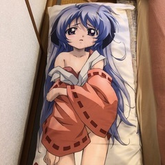 クッション  抱き枕の画像
