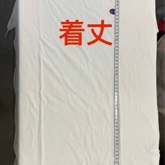 未開封新品チャンピョンTシャツ の画像