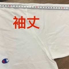 未開封新品チャンピョンTシャツ の画像