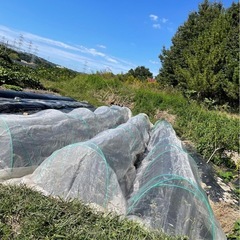 草刈りから畝立て、農機具小屋の建設など。DIYお手伝いも⭕️