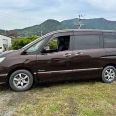 日産　セレナ　茶の画像