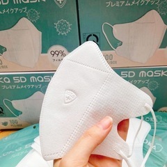 マスク5D 100枚