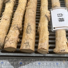 白樺　棒材　1本　100円　夏休みの宿題にいかがですか　値下げしましたの画像