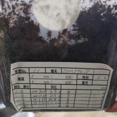 DHヘラクレスオオカブト3令幼虫極太血統の画像