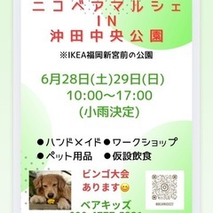 6/28.29 ニコベアマルシェin沖田中央公園