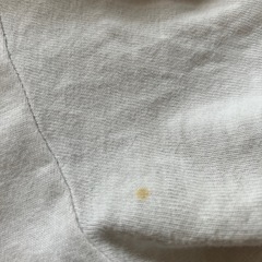 TシャツレディースＬサイズ
の画像