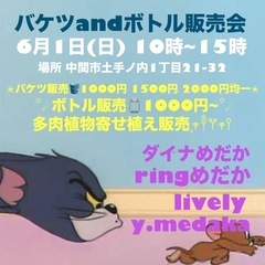 中間市土手ノ内 メダカ即売会🐟