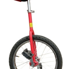 Temfeoh 一輪自転車 一輪車18インチ　バランス練習  ス...