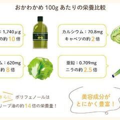 野菜なえ5点200円コーナーにオカワカメの挿し木苗を品出ししました。の画像