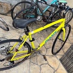 GIANT escape R3