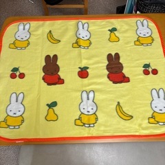 100×75㎝　フジパン　ミッフィーブランケット　フチオレンジ　...