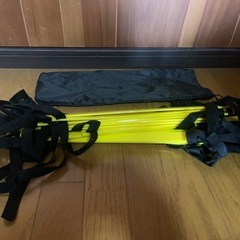 ラダーの画像