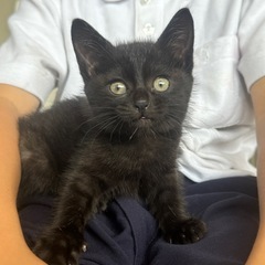あなちゃん