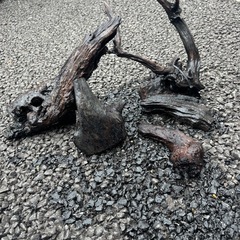 アクアリウム用流木！