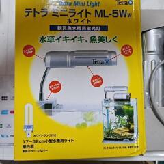 多分新品　テトラライト
