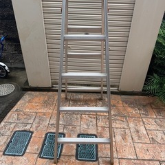 ハシゴの画像