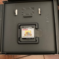 ニンテンドーDS ソフト　ペン1グランプリの画像