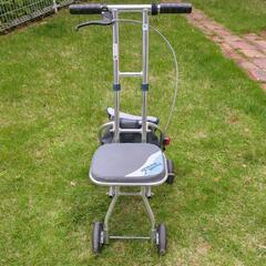 （取引中）手押し歩行器の画像