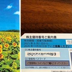 ANA 株主優待券