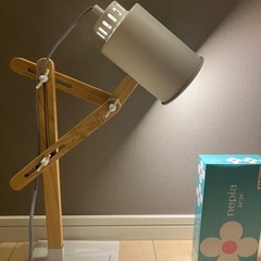 スタンドライト動作確認済み　　の画像